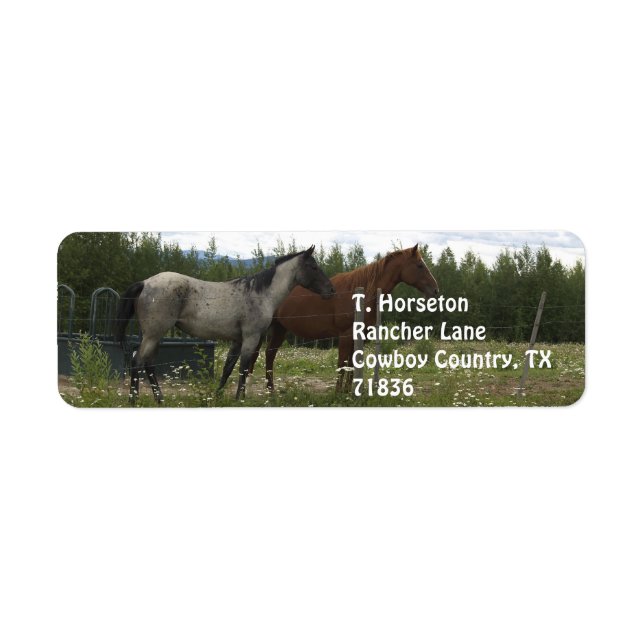 Roan und Appaloosa-Adressmarken (Vorne)