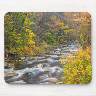 Roaring Brook im Herbst in Vermonts Green 2 Mousepad