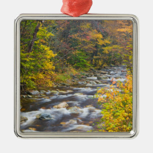 Roaring Brook im Herbst in Vermonts Green 2 Silbernes Ornament