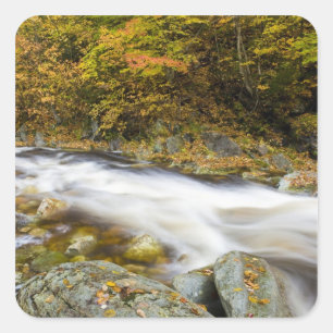 Roaring Brook im Herbst in Vermonts Green Quadratischer Aufkleber