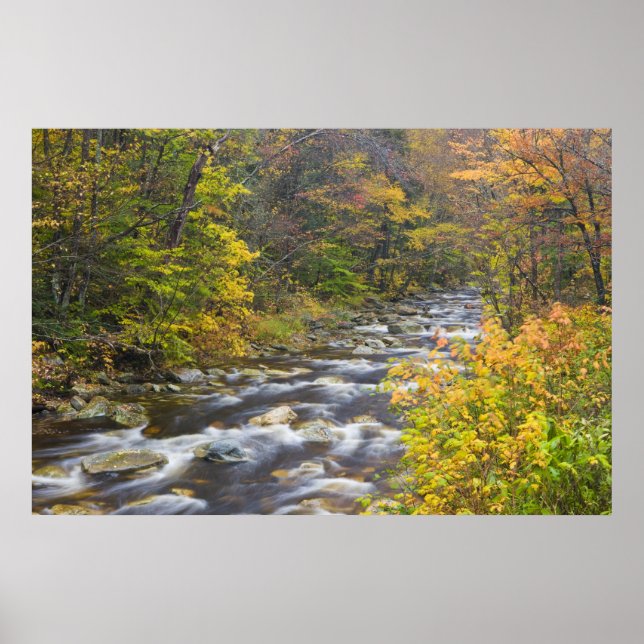 Roaring Brook im Herbst in Vermonts Grünen 2 Poster (Vorne)