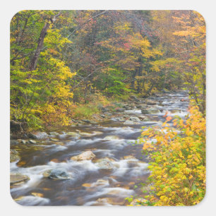 Roaring Brook im Herbst in Vermonts Grünen 2 Quadratischer Aufkleber