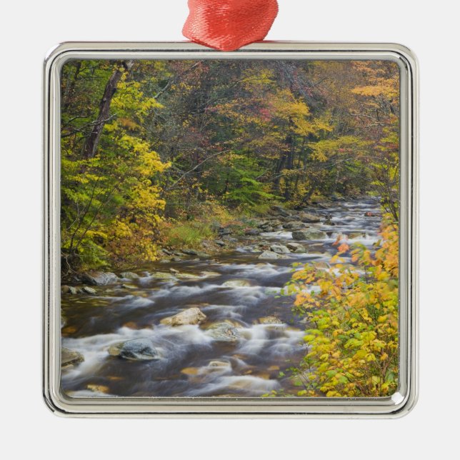 Roaring Brook im Herbst in Vermonts Grünen 2 Silbernes Ornament (Vorne)