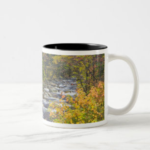 Roaring Brook im Herbst in Vermonts Grünen 2 Zweifarbige Tasse