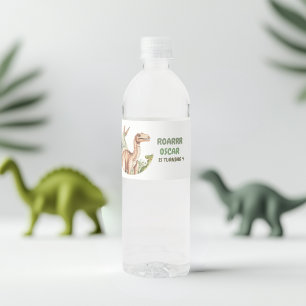 Roaring Dinosaur Geburtstagsparty