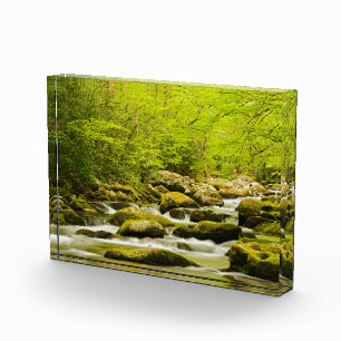 Roaring Fork im Frühjahr Fotoblock