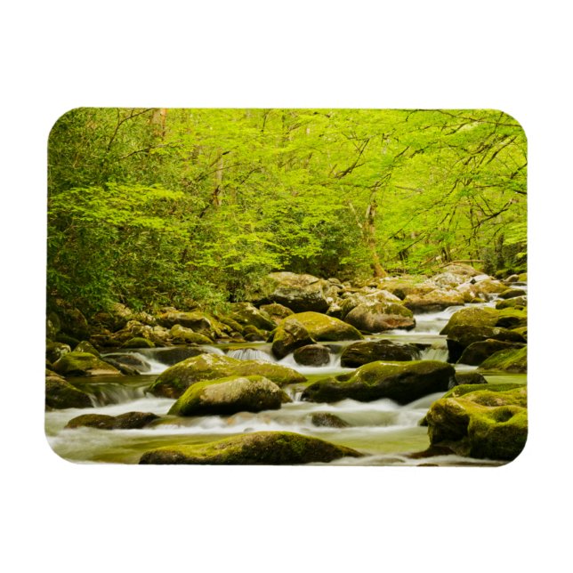 Roaring Fork im Frühjahr Magnet (Horizontal)