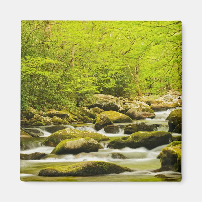 Roaring Fork im Frühjahr Magnet (Vorne)