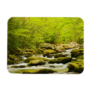Roaring Fork im Frühling Magnet