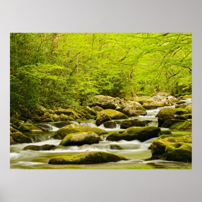 Roaring Fork im Frühling Poster (Vorne)