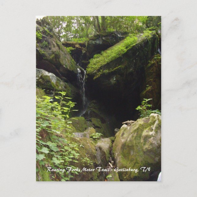 Roaring Forks Motor Trail - Gatlinburg, TN Postkarte (Vorderseite)