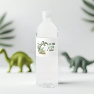 Roaring Good Time Dinosaur Party