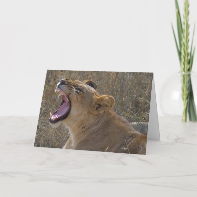 Roaring Lion Greeting card Karte (Vorderseite)