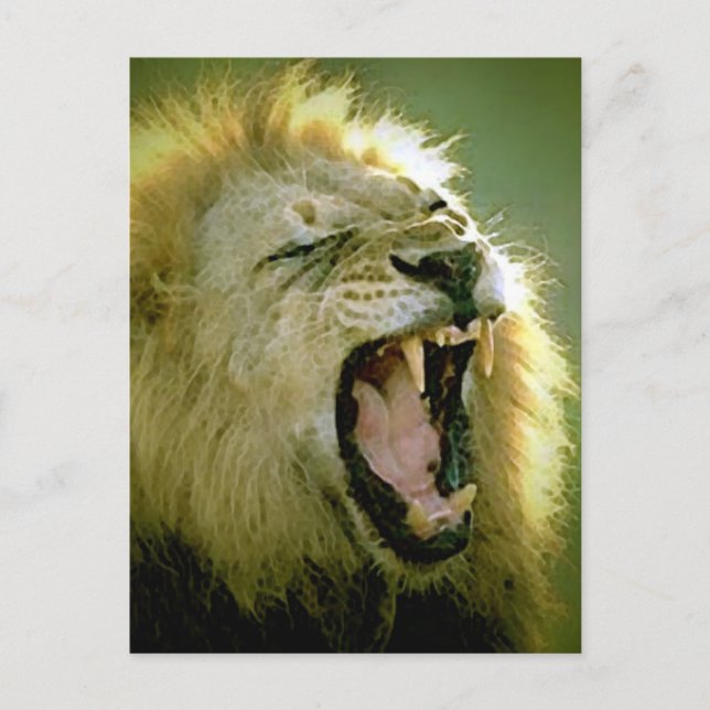 Roaring Lion Postkarte (Vorderseite)