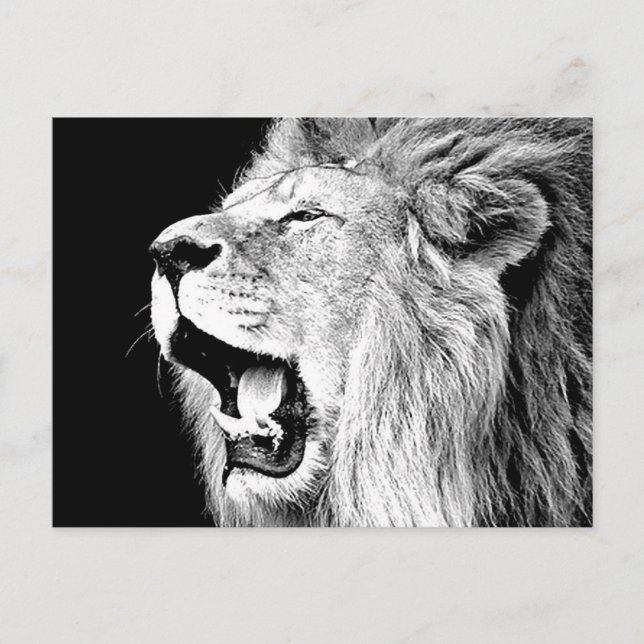 Roaring Lion Postkarte (Vorderseite)