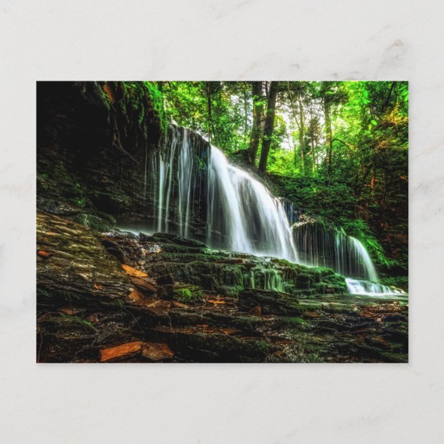 Roaring Waterfall Postcard Postkarte (Vorderseite)