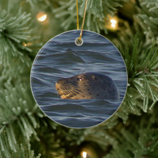 Robben-Foto-Ornament Keramik Ornament