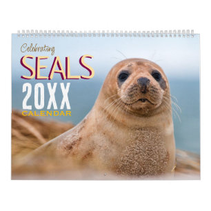 Robben-Wandkalender 2026 Wildlife Kalender