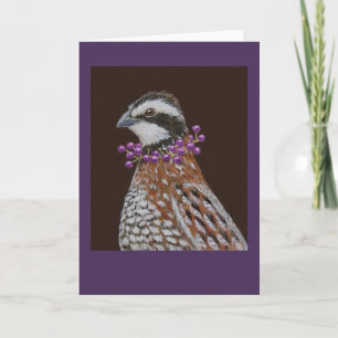 Robbie la carte de voeux bobwhite