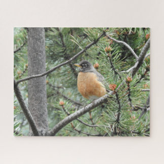 Robbin dans les arbres Jigsaw Puzzle