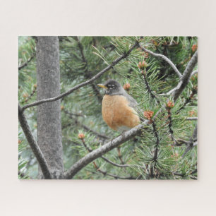 Robbin im Jigsaw-Puzzle der Bäume