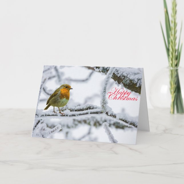 Robbin RedBrust Karte (Vorderseite)