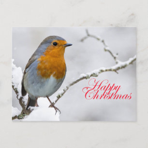 Robbin RedBrust Postkarte