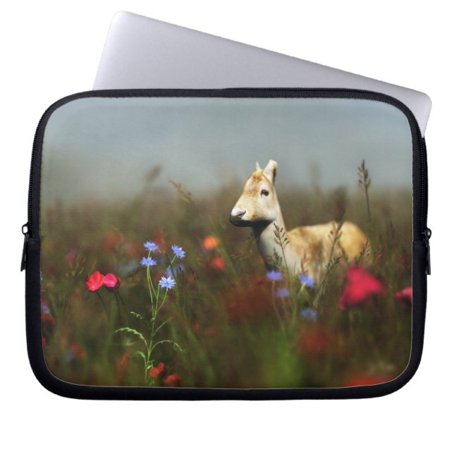 Robe in einem Wiese-Laptop-Sieb Laptopschutzhülle (Vorderseite)