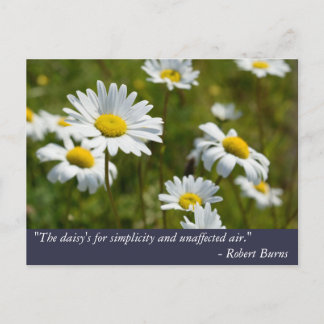 Robert Burns Daisy Quote Postkarte
