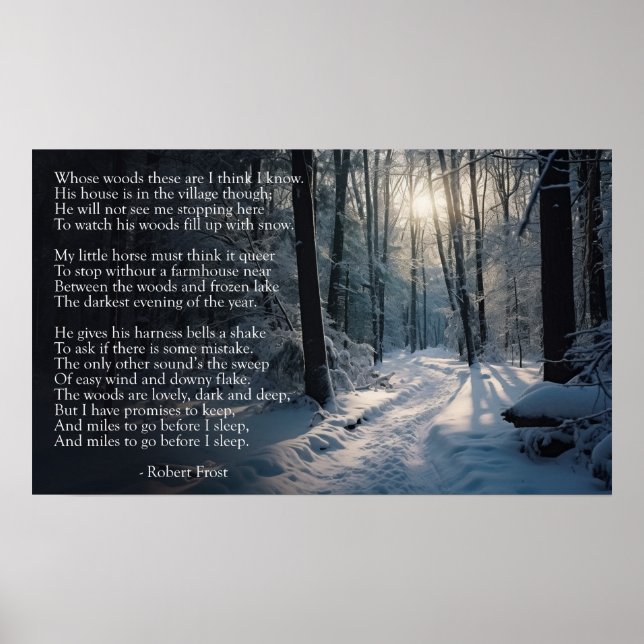 Robert Frost: Auf einem schneebedeckten Abend durc Poster (Vorne)
