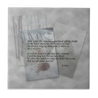 Robert Frost-Poesie