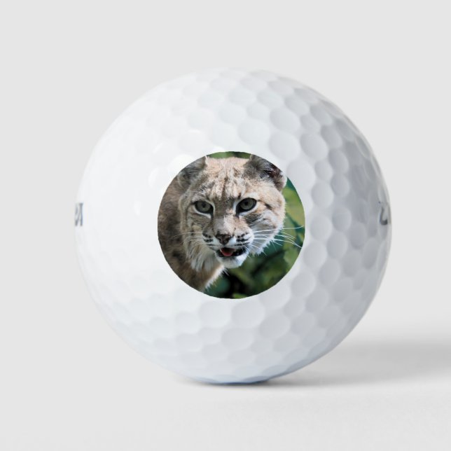 Robert J. Bobcat Golfball (Vorderseite)