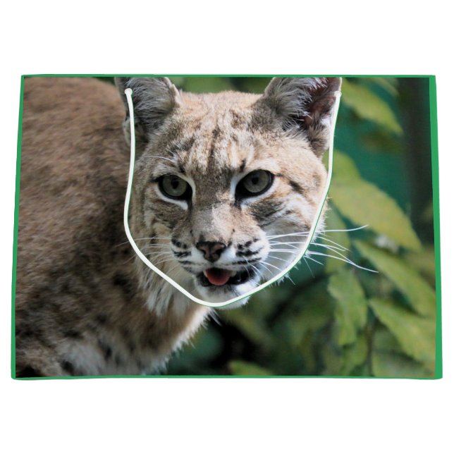 Robert J. Bobcat Große Geschenktüte (Vorderseite)