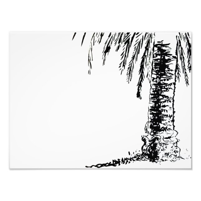 Roberts Tree Fotodruck (Vorne)