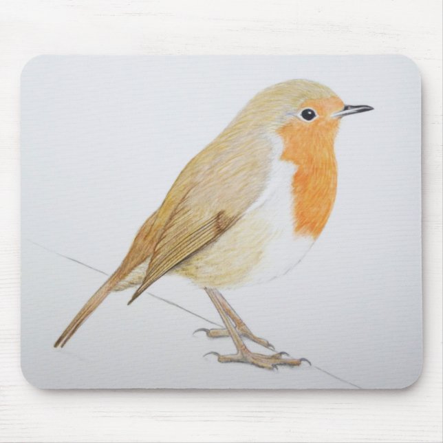 Robin 2011 mousepad (Vorne)