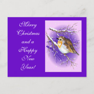 Robin 3 postacard feiertagspostkarte