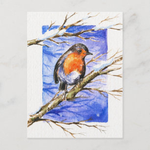 Robin 3 postkarte