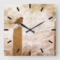 Robin auf der Zaun-Post-Uhr
