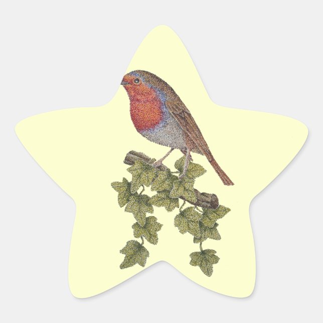 Robin, auf Efeu-Blatt-Wildvögeln Stern-Aufkleber (Vorderseite)