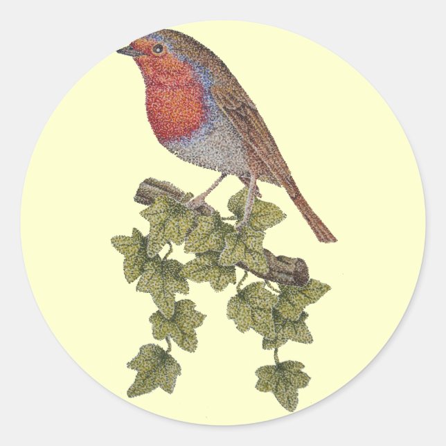 Robin auf Efeu-Blättern, anpassbar Runder Aufkleber (Vorderseite)