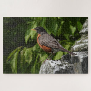Robin auf einem Headstone