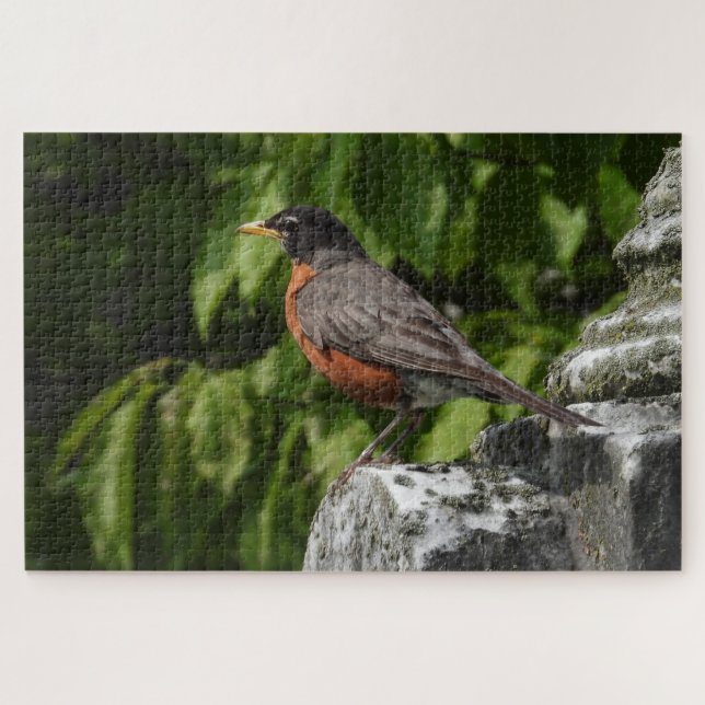 Robin auf einem Headstone (Horizontal)