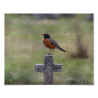 Robin auf einem Kreuz