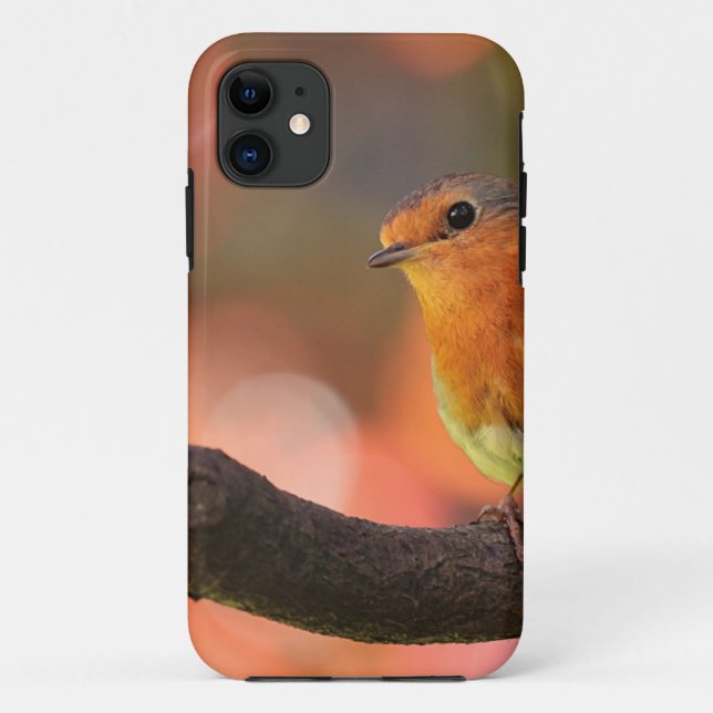Robin auf einem Zweig Case-Mate iPhone Hülle (Rückseite)