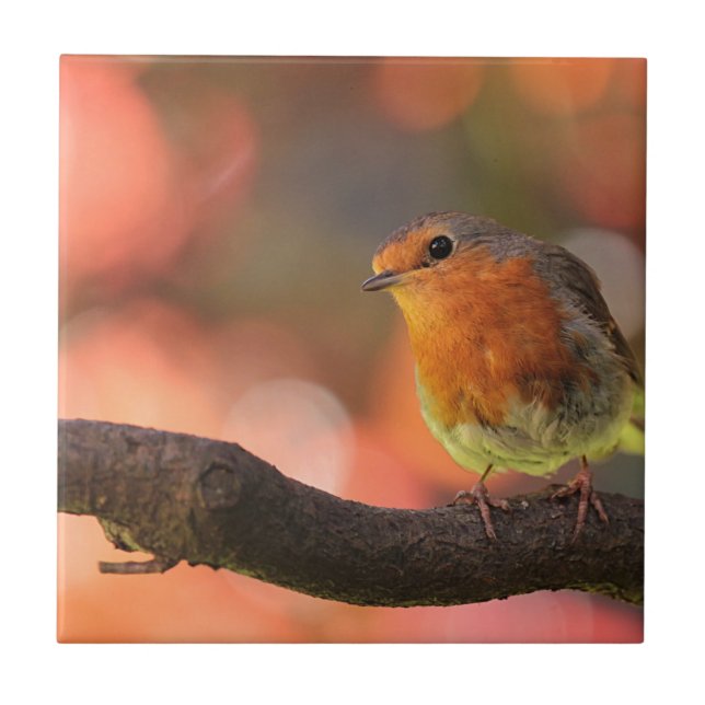 Robin auf einem Zweig Fliese (Vorderseite)