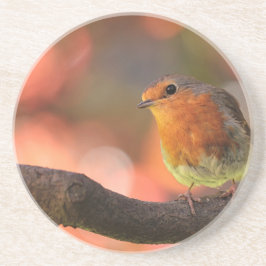 Robin auf einem Zweig Untersetzer