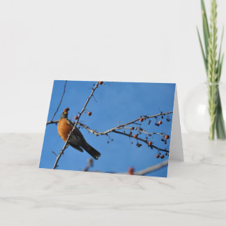 Robin avec la baie dans le bec - carte de voeux
