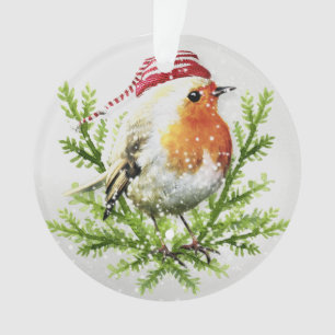 Robin avec Santa Hat et Neige