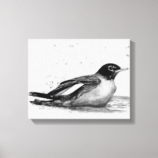 Robin Bath Leinwanddruck (Vorderseite)