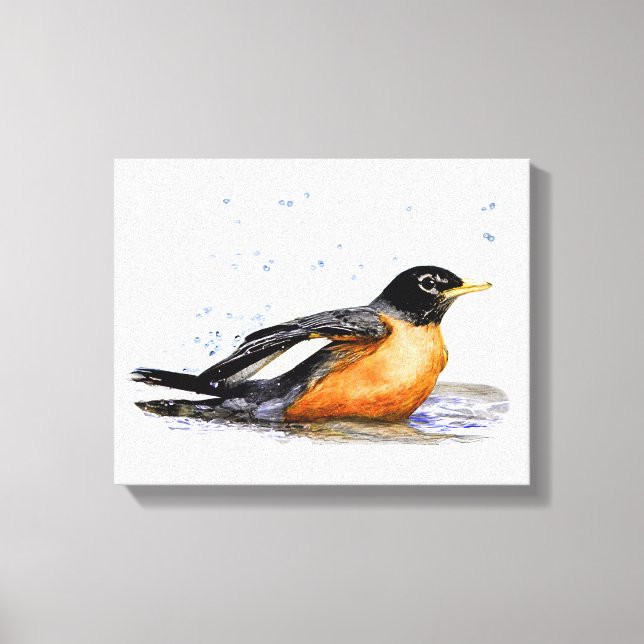 Robin Bathing Leinwanddruck (Vorderseite)